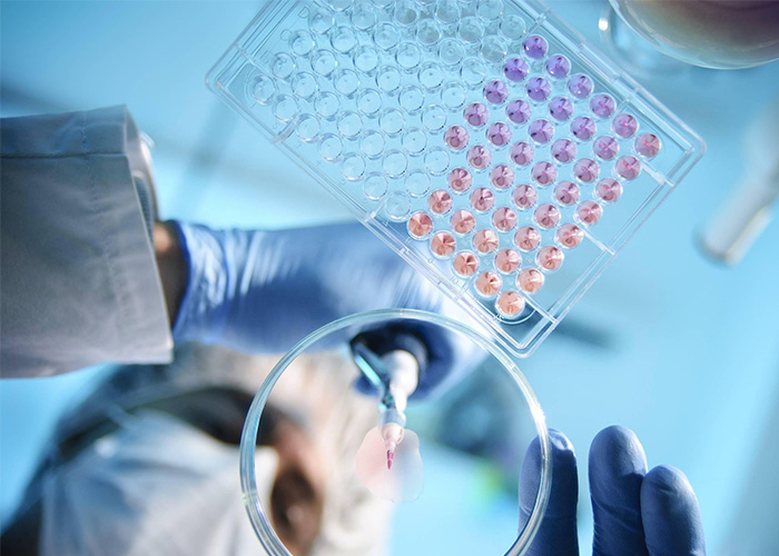 修实生物制药：合成生物学和多肽产品的最新更新