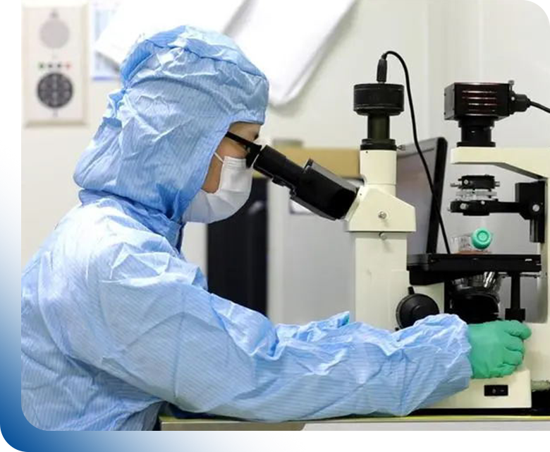 肽发现流程 - 综合服务，包括肽库筛选、计算机辅助肽设计以及用于药物开发的高纯度肽合成。